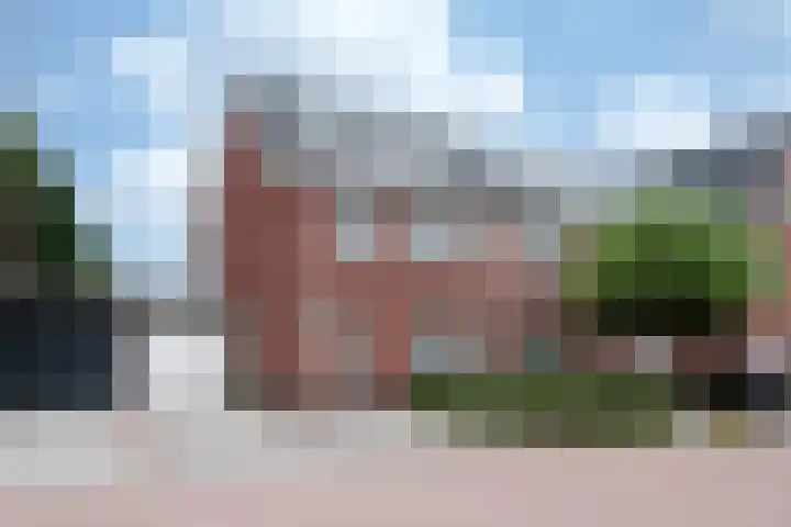 Steenarend 9 Bosschenhoofd