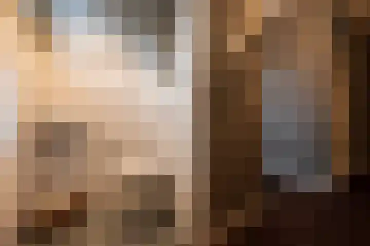 Steenarend 9 Bosschenhoofd thumbnail 10