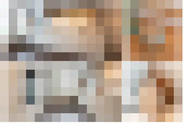 Steenarend 9 Bosschenhoofd thumbnail 11