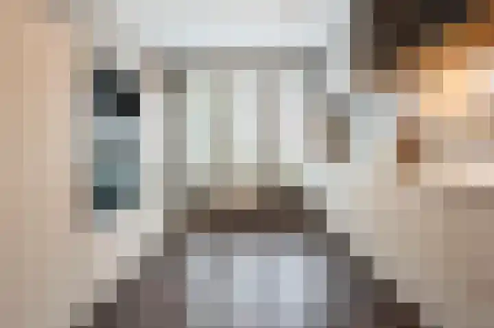 Steenarend 9 Bosschenhoofd thumbnail 13