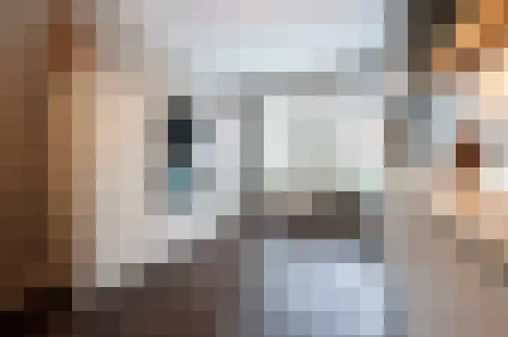 Steenarend 9 Bosschenhoofd thumbnail 15
