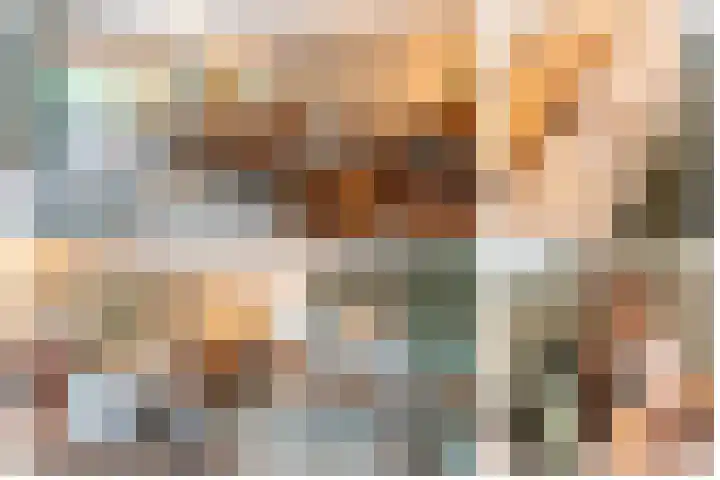 Steenarend 9 Bosschenhoofd thumbnail 17