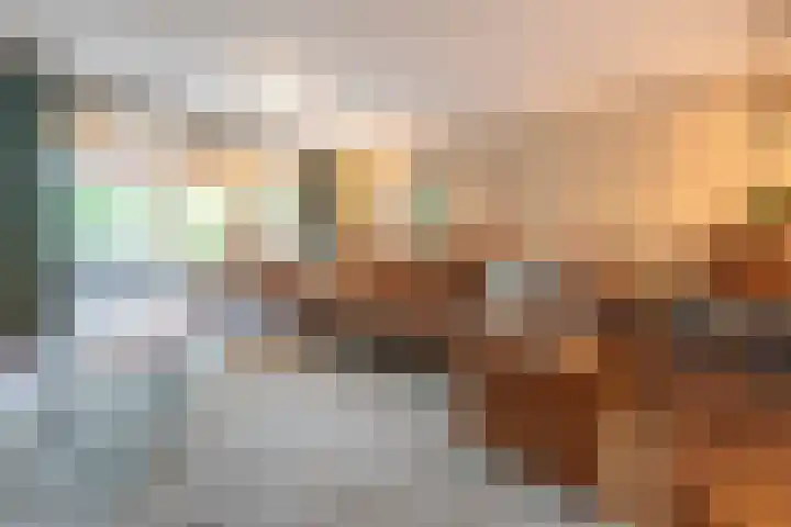 Steenarend 9 Bosschenhoofd thumbnail 19