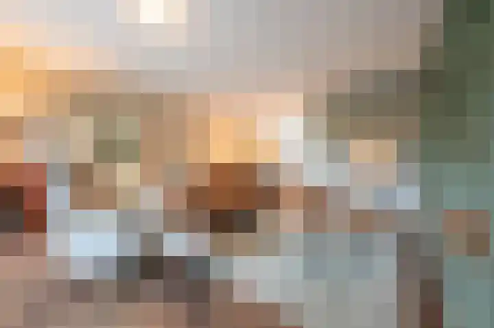 Steenarend 9 Bosschenhoofd thumbnail 22