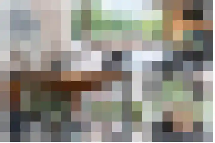 Steenarend 9 Bosschenhoofd thumbnail 23