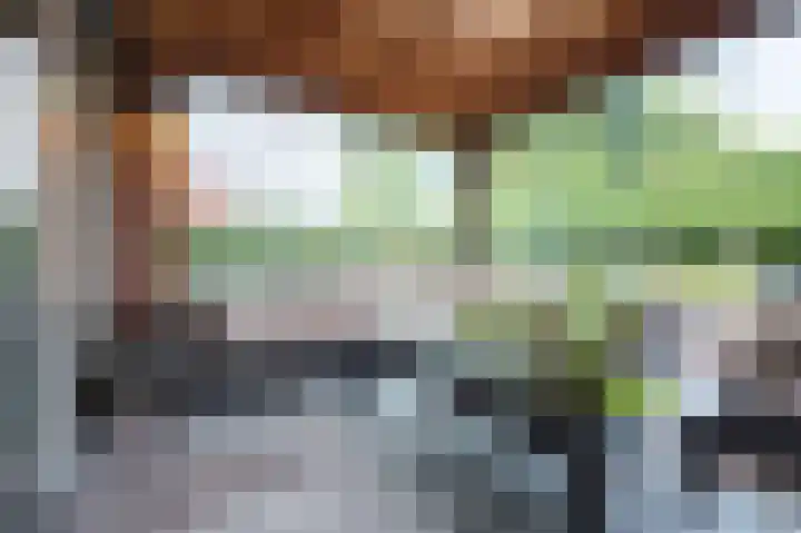 Steenarend 9 Bosschenhoofd thumbnail 26