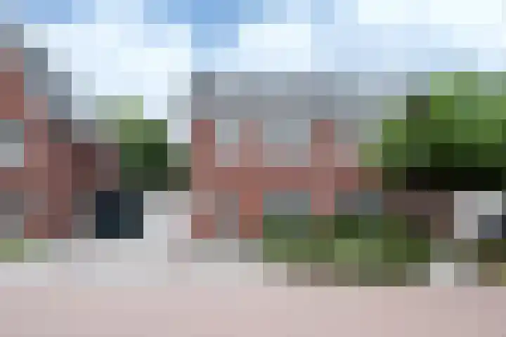 Steenarend 9 Bosschenhoofd foto 3