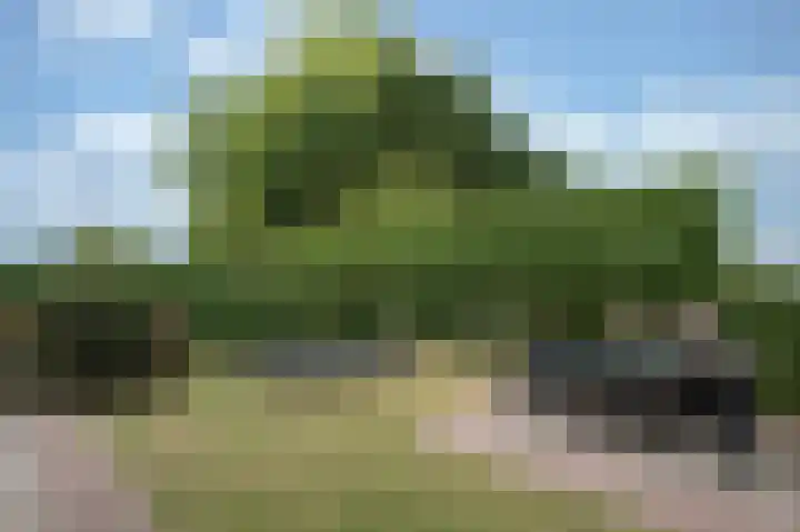 Steenarend 9 Bosschenhoofd thumbnail 30