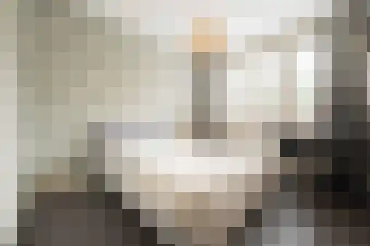 Steenarend 9 Bosschenhoofd thumbnail 34