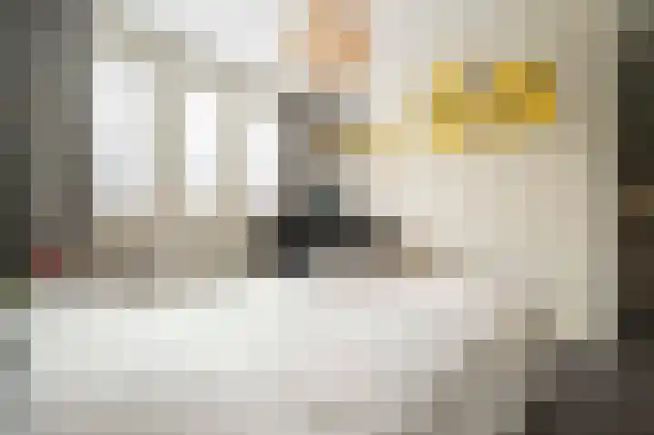 Steenarend 9 Bosschenhoofd thumbnail 35