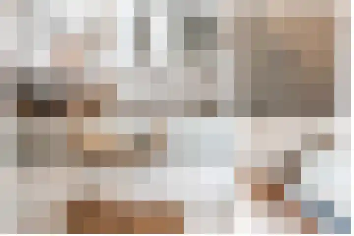 Steenarend 9 Bosschenhoofd thumbnail 37