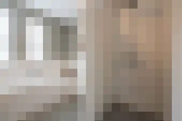 Steenarend 9 Bosschenhoofd thumbnail 38