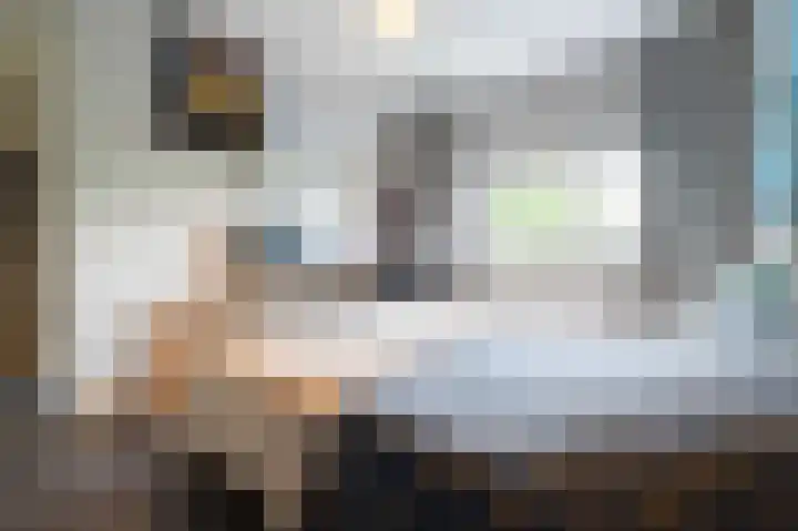 Steenarend 9 Bosschenhoofd thumbnail 43