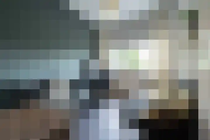 Steenarend 9 Bosschenhoofd thumbnail 44