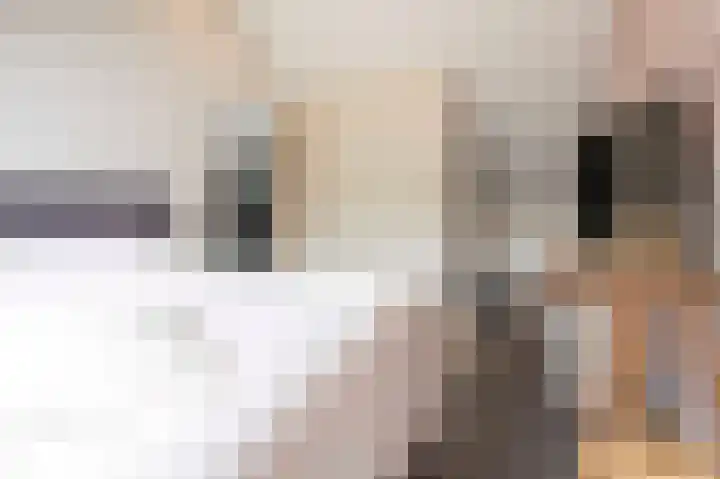 Steenarend 9 Bosschenhoofd thumbnail 50