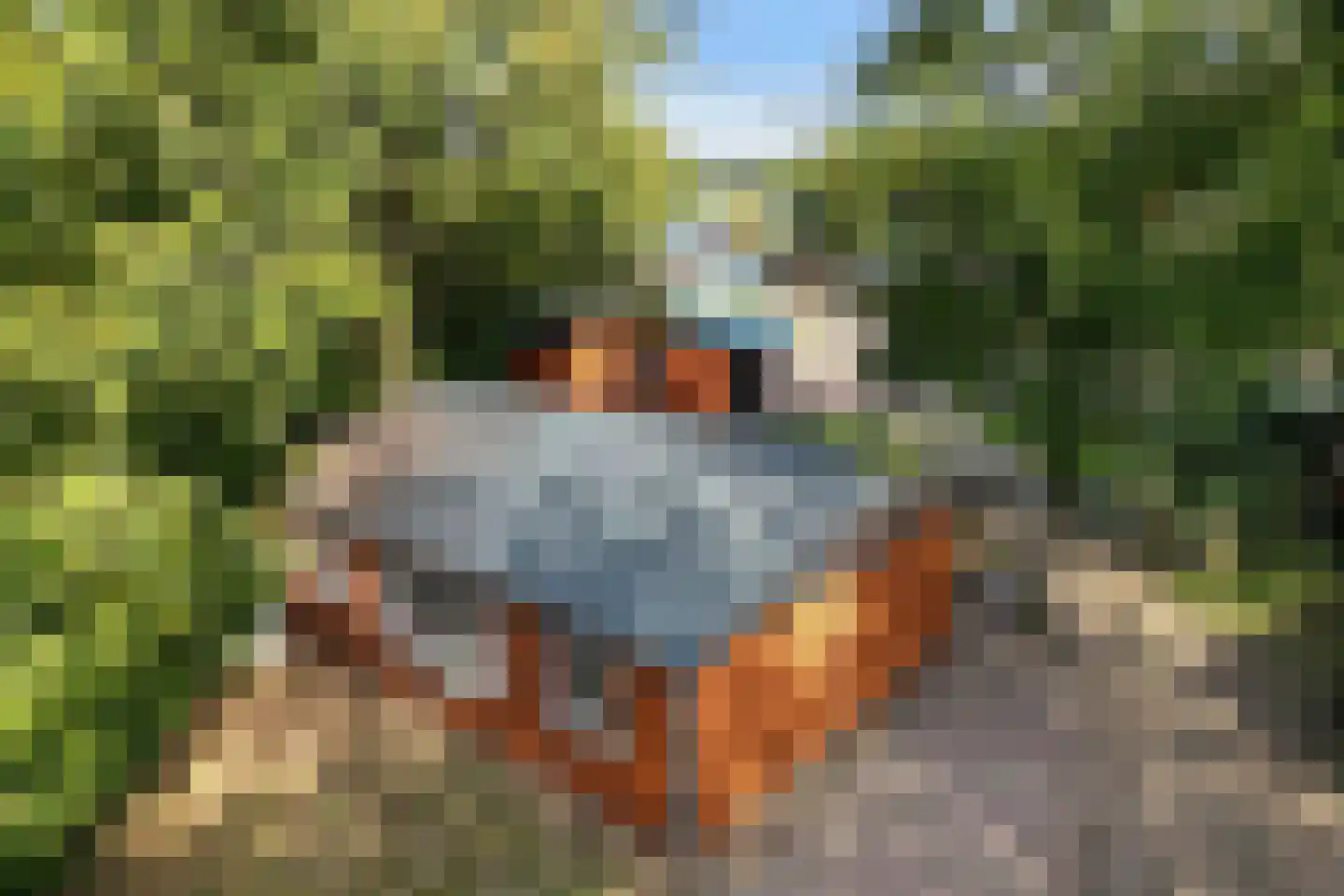 Steenbakkersweg 3 C 29 Erm thumbnail 32