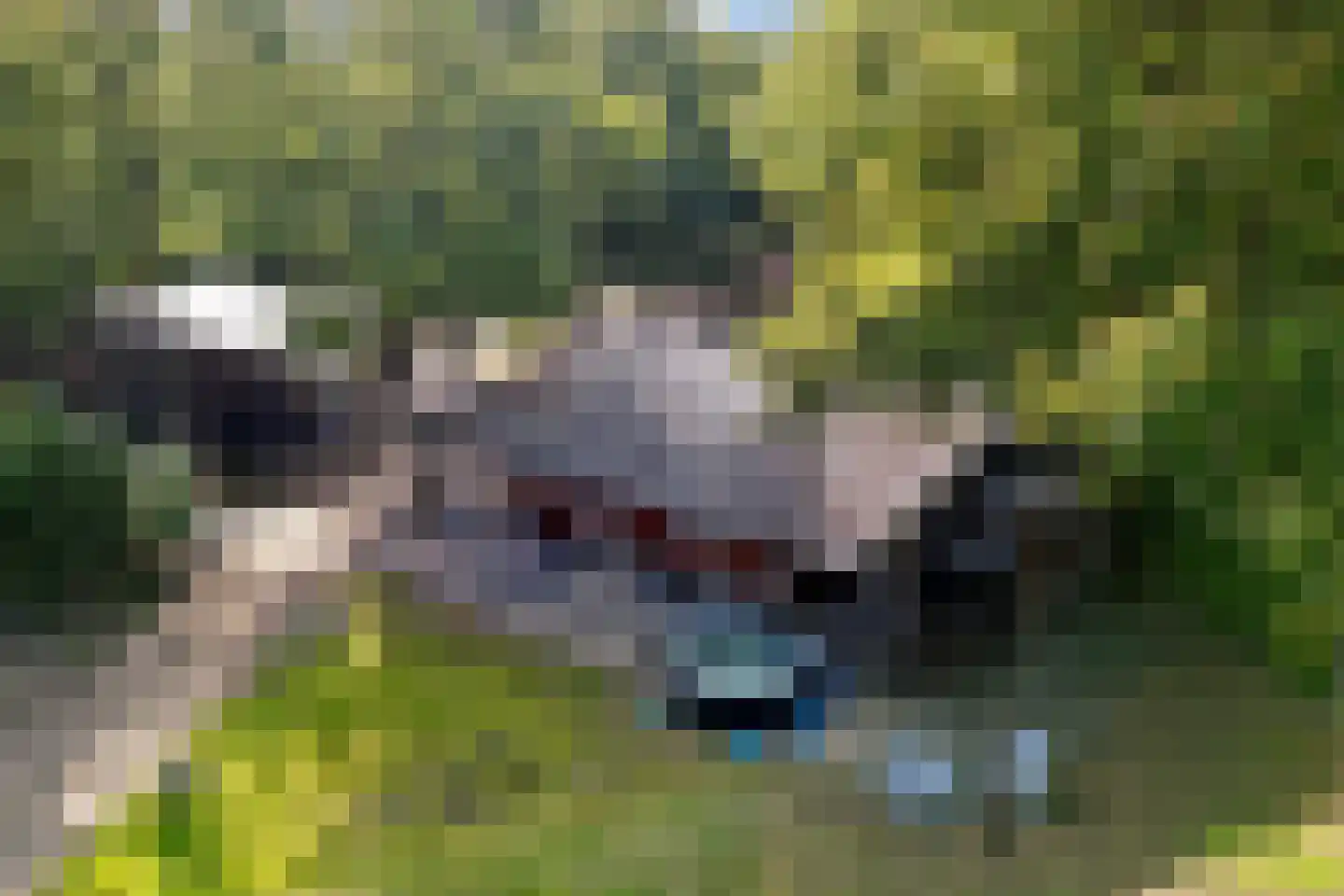 Steenbakkersweg 3 C 29 Erm thumbnail 6