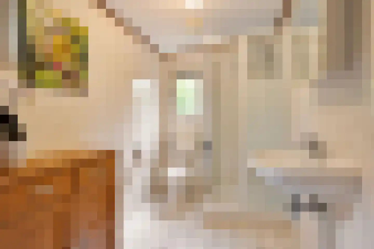 Steenbakkersweg 5 236 Erm thumbnail 13
