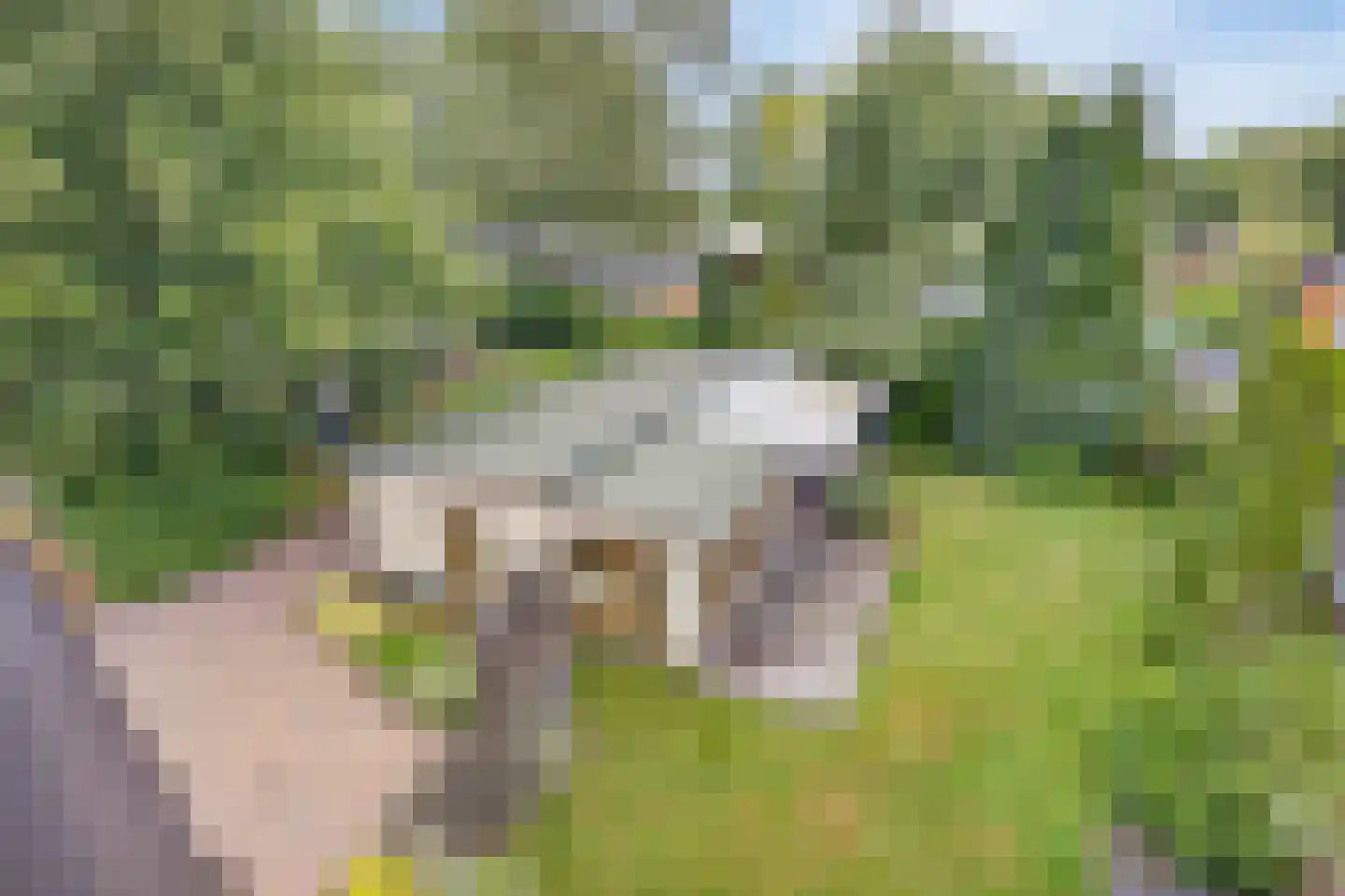 Steenbakkersweg 5 236 Erm thumbnail 8