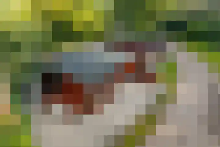 Steenbakkersweg 7 324 Erm