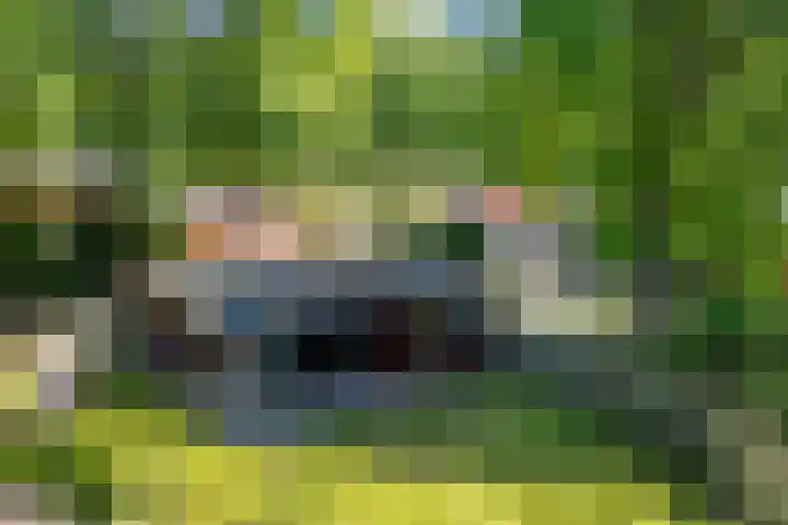 Steenbakkersweg 7 334 Erm thumbnail 12