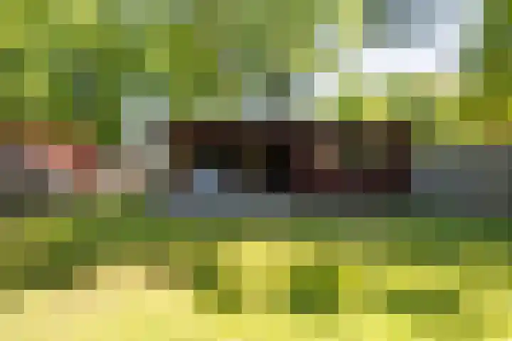 Steenbakkersweg 7 334 Erm thumbnail 14