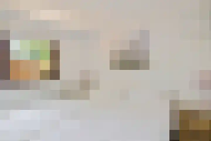 Steenbakkersweg 7 334 Erm thumbnail 28