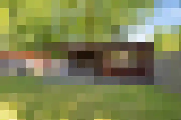 Steenbakkersweg 7 334 Erm thumbnail 36