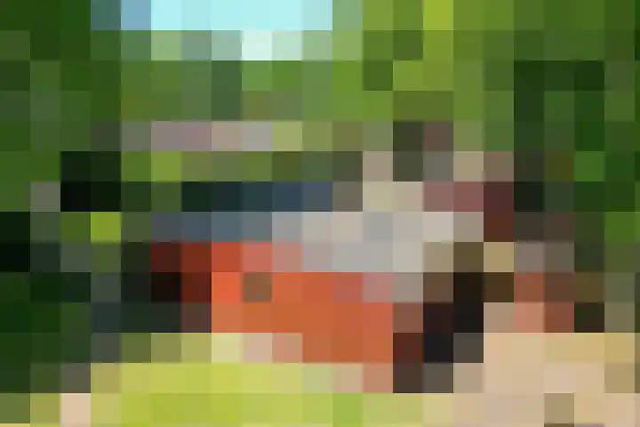 Steenbakkersweg 7 334 Erm thumbnail 38