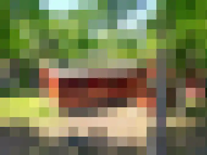 Steenbakkersweg 7 334 Erm thumbnail 41