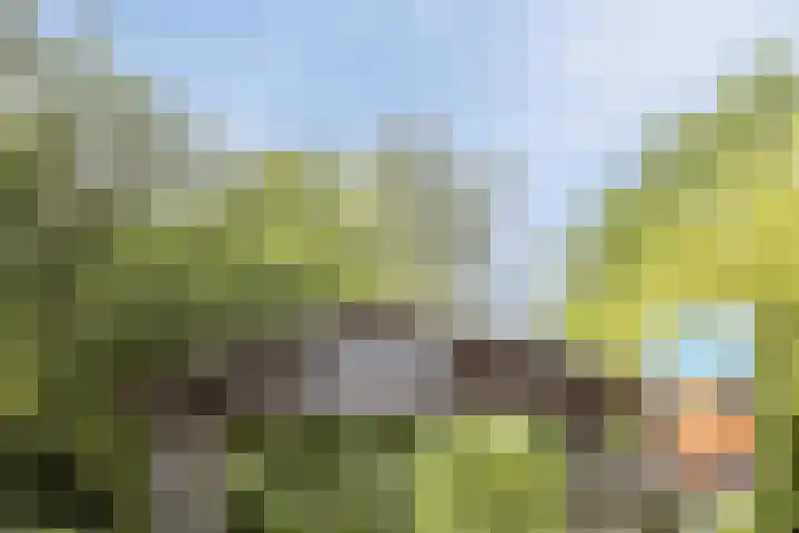 Steenbakkersweg 7 334 Erm thumbnail 6
