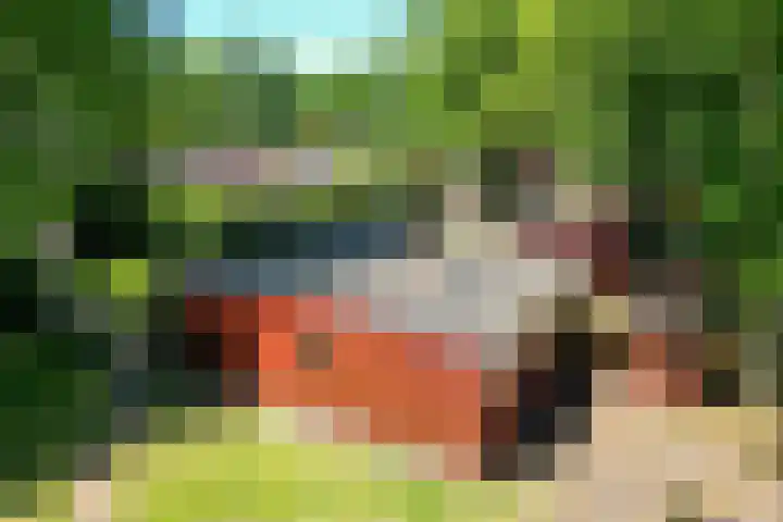 Steenbakkersweg 7 334 Erm thumbnail 7