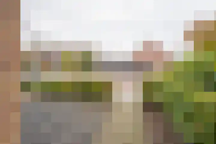 Steenbeek 12 Nijkerk thumbnail 28