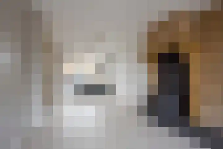 Steenbeek 12 Nijkerk thumbnail 4