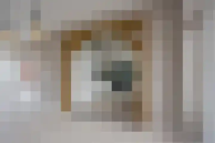 Steenbeek 12 Nijkerk thumbnail 8