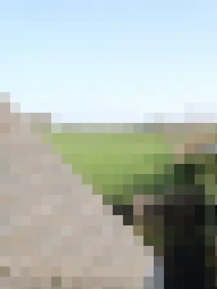 Steenberg 64 Bocholtz thumbnail 17