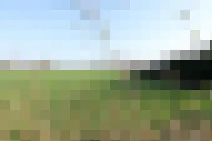 Steenberg 64 Bocholtz thumbnail 21