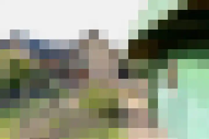 Steenberg 64 Bocholtz thumbnail 22