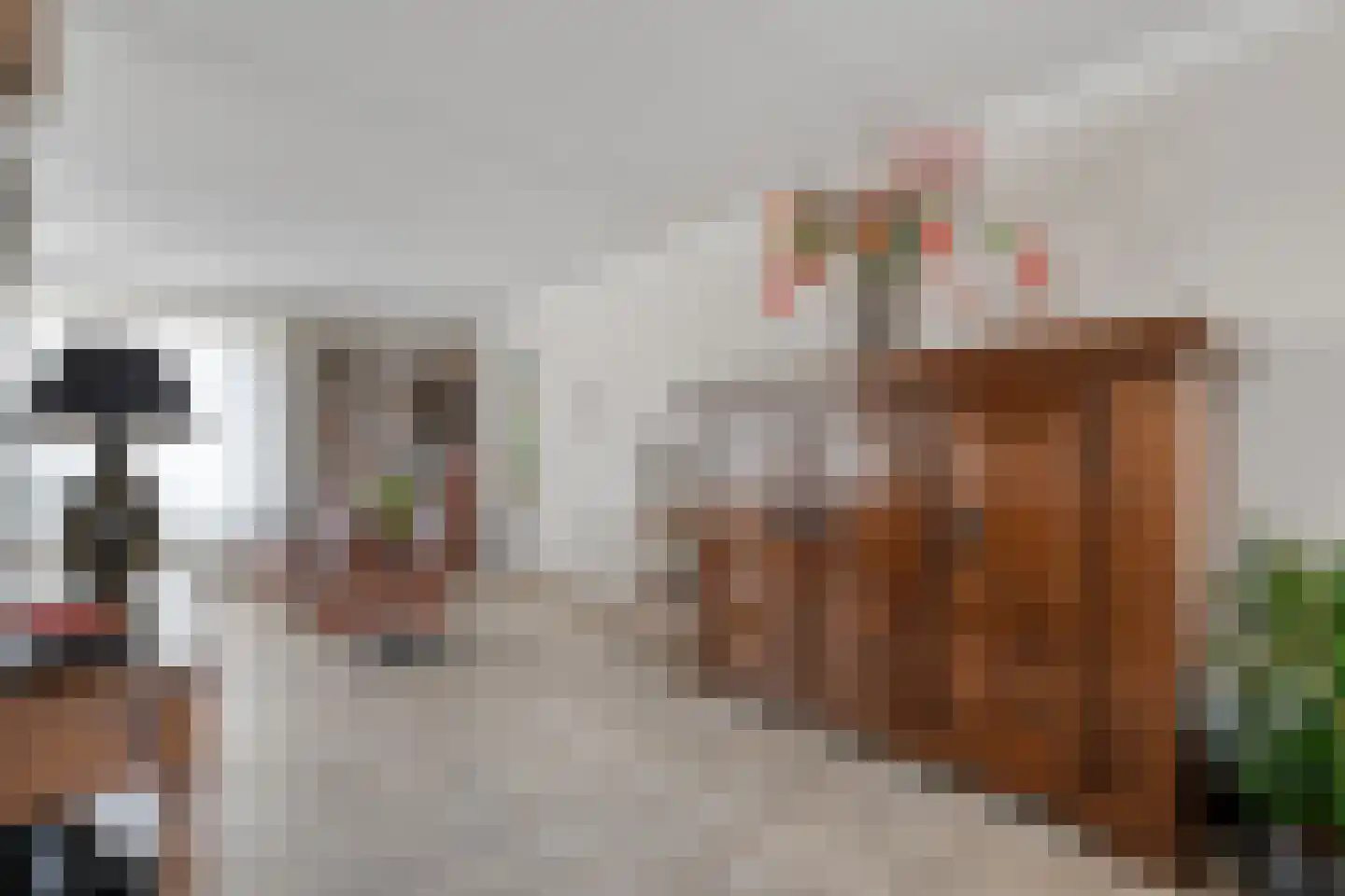 Steenbergerwijk 20 Dedemsvaart thumbnail 10