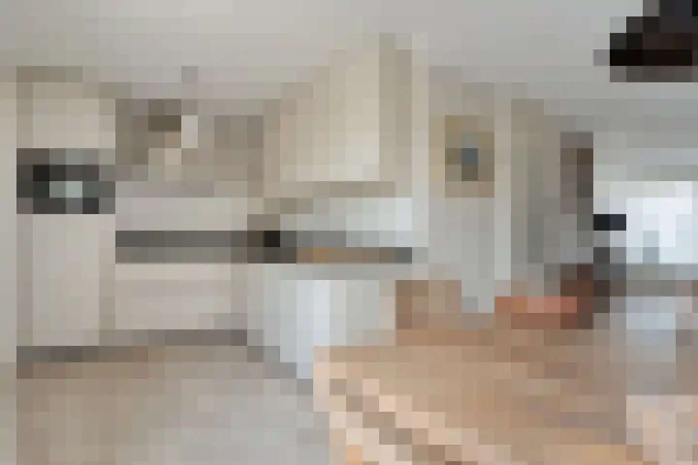 Steenbergerwijk 20 Dedemsvaart thumbnail 15
