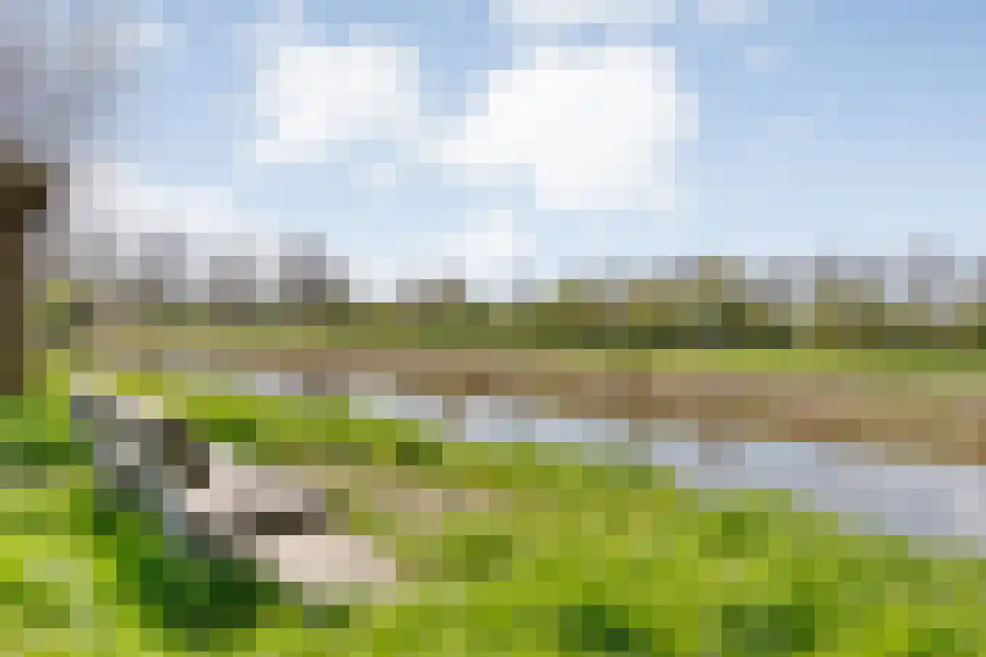 Steenbergerwijk 20 Dedemsvaart thumbnail 46