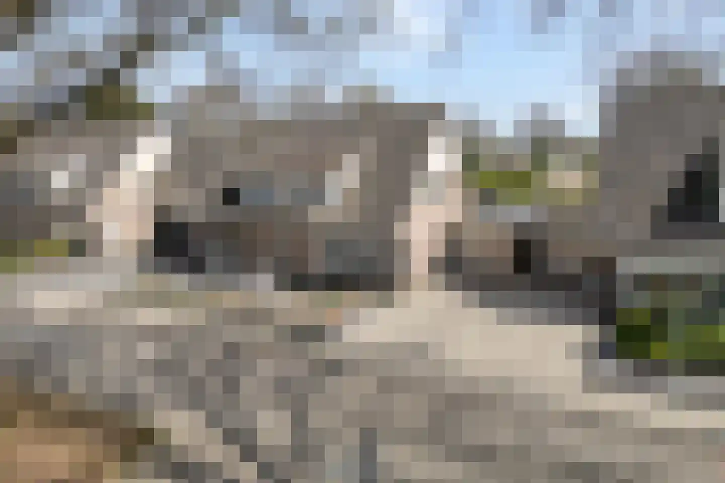 Steenbergerwijk 20 Dedemsvaart thumbnail 47