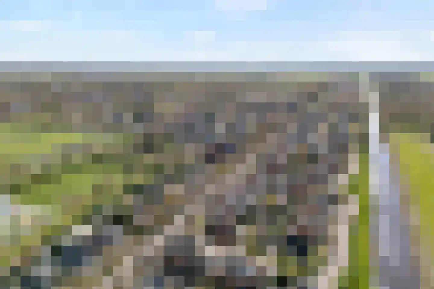 Steenbergerwijk 20 Dedemsvaart thumbnail 49