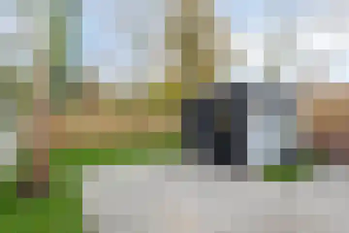 Steenbergseweg 85 Dinteloord thumbnail 29