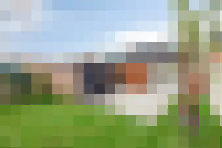 Steenbergseweg 85 Dinteloord thumbnail 30