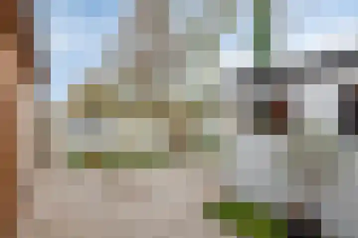 Steenbergseweg 85 Dinteloord thumbnail 31