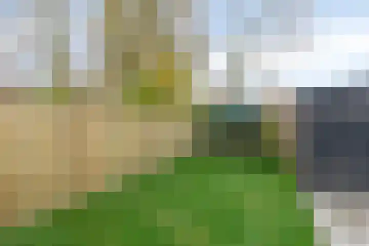 Steenbergseweg 85 Dinteloord thumbnail 33