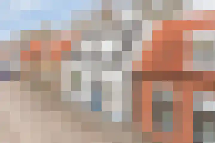Steenbergseweg 85 Dinteloord thumbnail 36