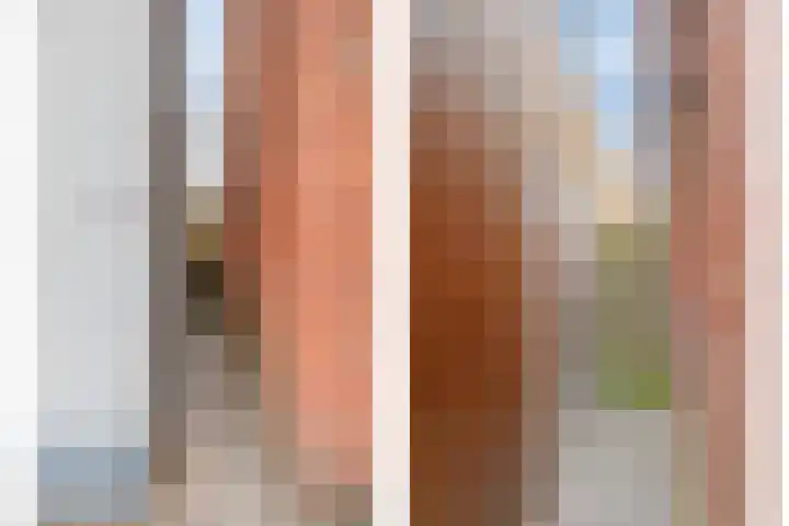 Steenbergseweg 85 Dinteloord thumbnail 5