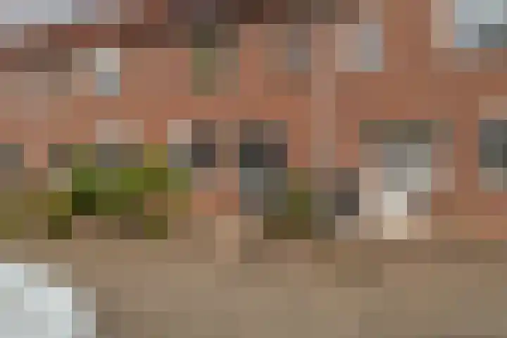 Steenbok 13 Hellevoetsluis thumbnail 4